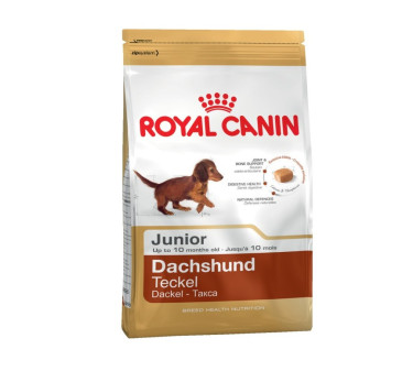 Royal Canin Такса Паппи корм для щенков породы такса  до 10 месяцев